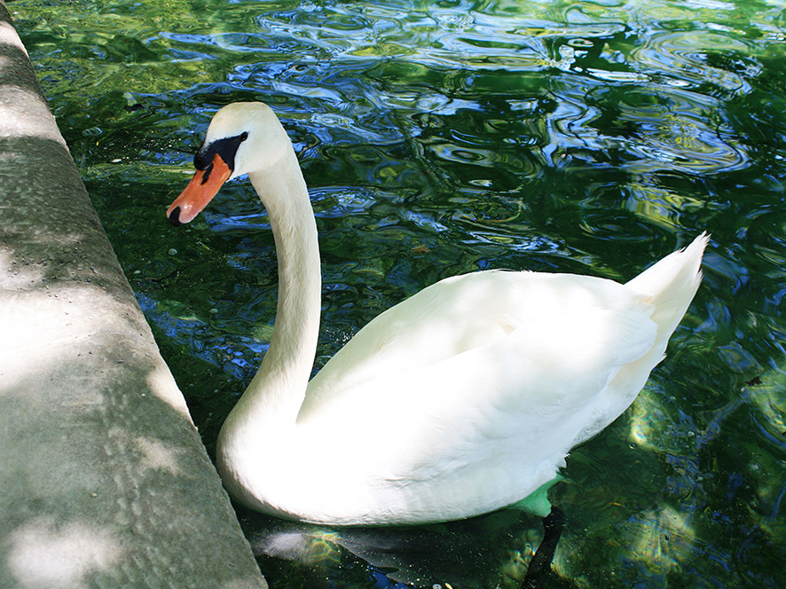 Bildunterschrift Bildunterschrift